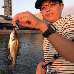 アマテラス 釣果