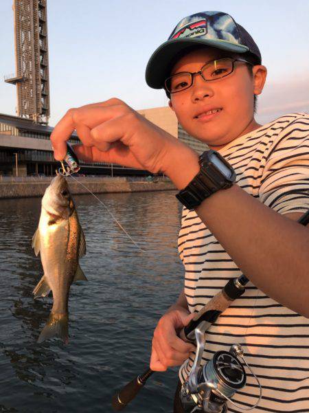 アマテラス 釣果