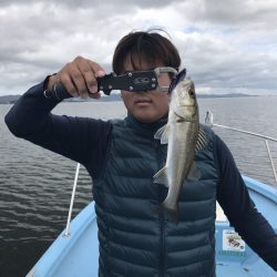 アマテラス 釣果