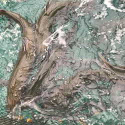 加賀フィッシングエリア 釣果