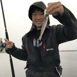 アマテラス 釣果