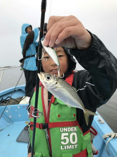 アマテラス 釣果