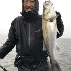 アマテラス 釣果