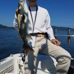 海龍丸（島根） 釣果