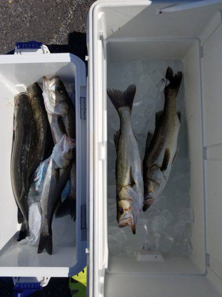 海龍丸（島根） 釣果