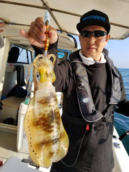 ソルトウォーターガイドフレンズ 釣果