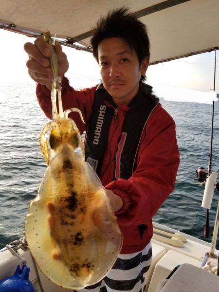 ソルトウォーターガイドフレンズ 釣果