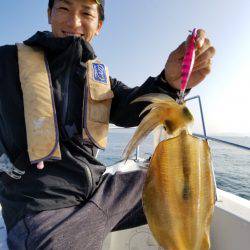 ソルトウォーターガイドフレンズ 釣果