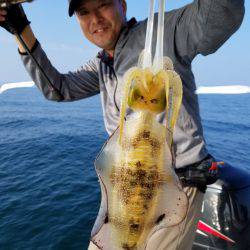 ソルトウォーターガイドフレンズ 釣果