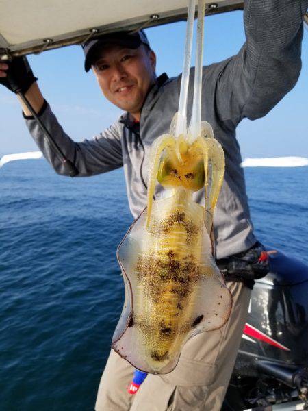 ソルトウォーターガイドフレンズ 釣果