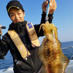 ソルトウォーターガイドフレンズ 釣果