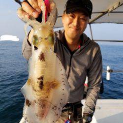 ソルトウォーターガイドフレンズ 釣果