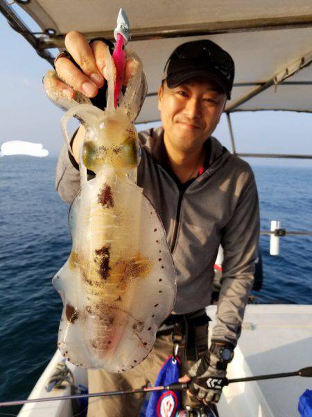 ソルトウォーターガイドフレンズ 釣果