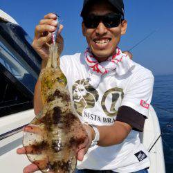 ソルトウォーターガイドフレンズ 釣果