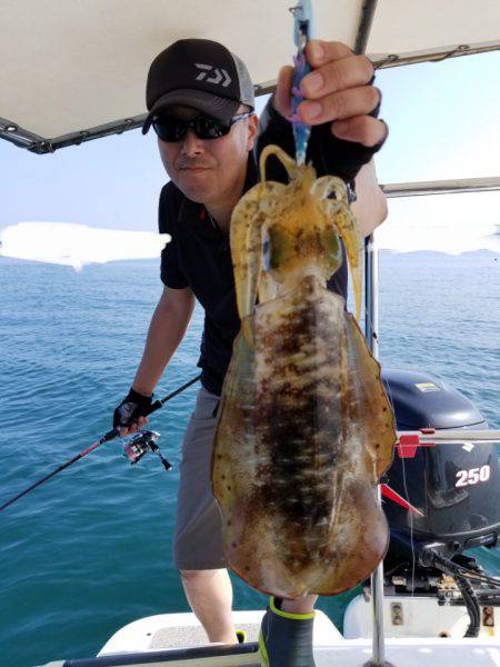 ソルトウォーターガイドフレンズ 釣果