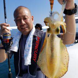 ソルトウォーターガイドフレンズ 釣果