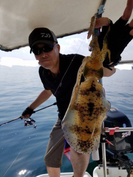 ソルトウォーターガイドフレンズ 釣果