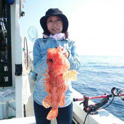 エンペラー 釣果