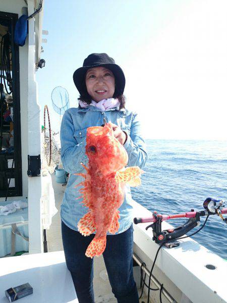 エンペラー 釣果