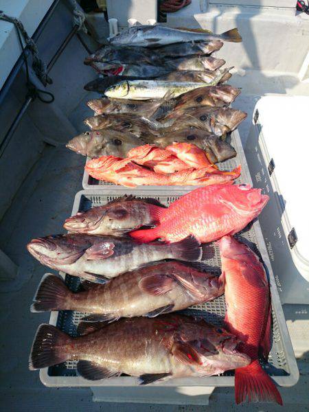 エンペラー 釣果