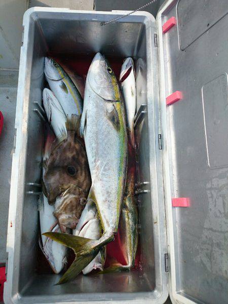 エンペラー 釣果