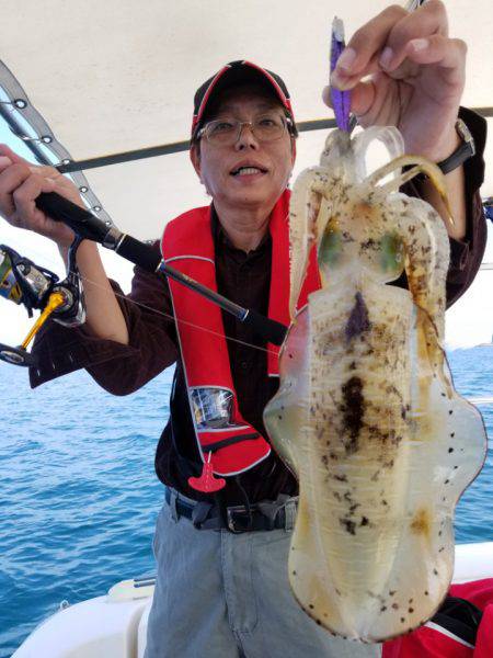 ソルトウォーターガイドフレンズ 釣果