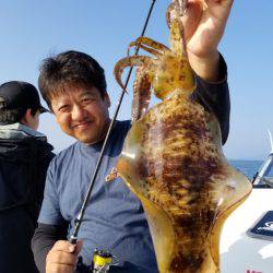 ソルトウォーターガイドフレンズ 釣果
