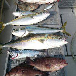 エンペラー 釣果