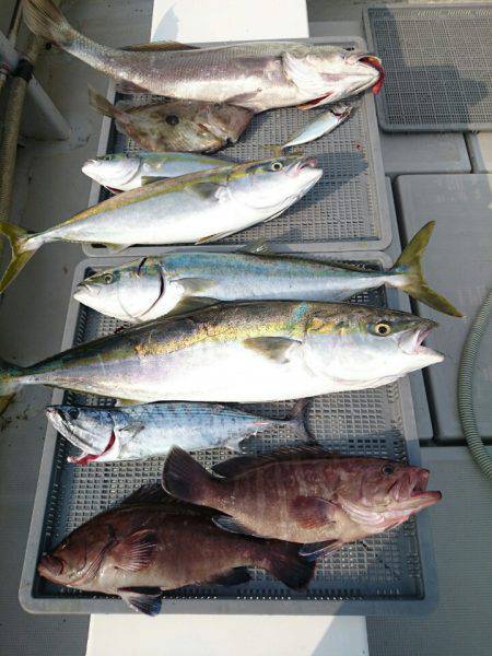 エンペラー 釣果