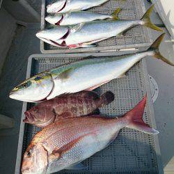 エンペラー 釣果