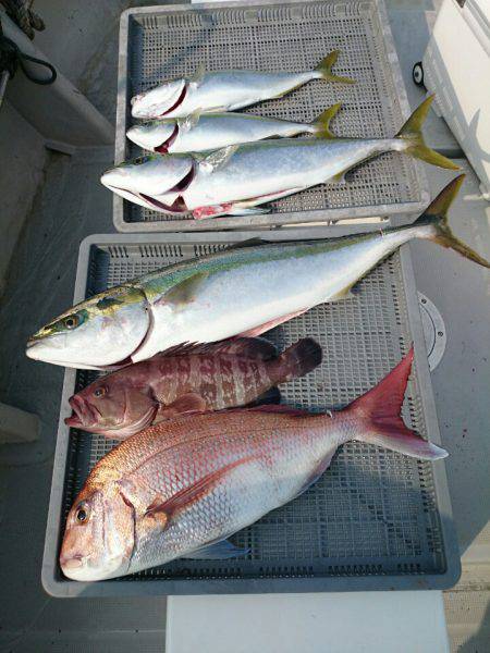 エンペラー 釣果