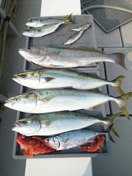 エンペラー 釣果