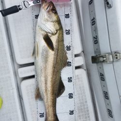 海龍丸（島根） 釣果