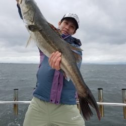 海龍丸(島根) 釣果