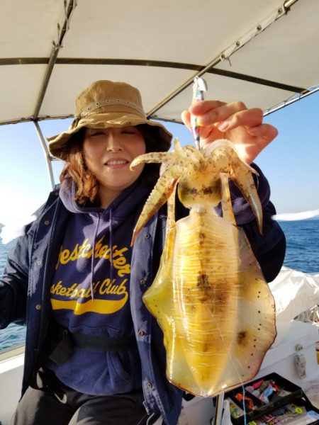 ソルトウォーターガイドフレンズ 釣果