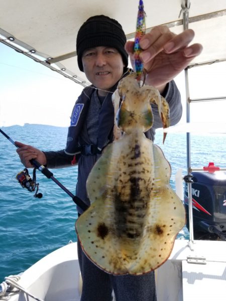 ソルトウォーターガイドフレンズ 釣果