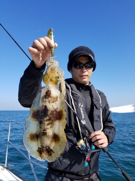 ソルトウォーターガイドフレンズ 釣果