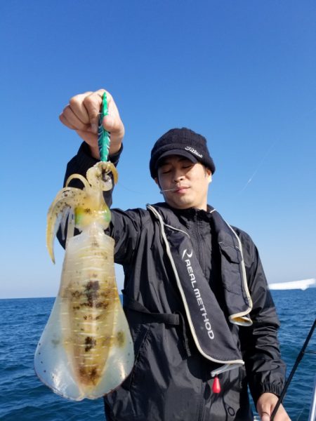 ソルトウォーターガイドフレンズ 釣果