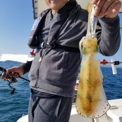 ソルトウォーターガイドフレンズ 釣果