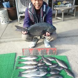 幕島丸 釣果