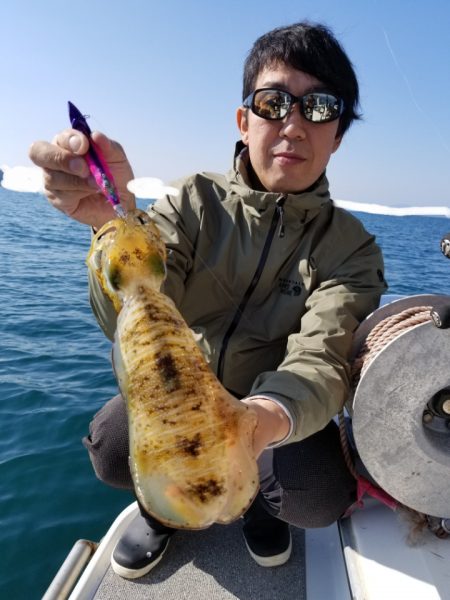 ソルトウォーターガイドフレンズ 釣果