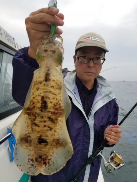 ソルトウォーターガイドフレンズ 釣果