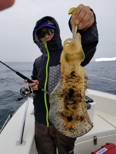 ソルトウォーターガイドフレンズ 釣果