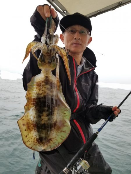 ソルトウォーターガイドフレンズ 釣果