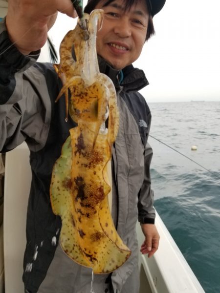 ソルトウォーターガイドフレンズ 釣果