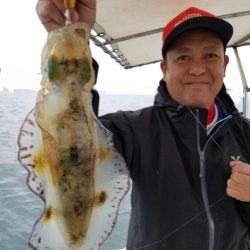 ソルトウォーターガイドフレンズ 釣果