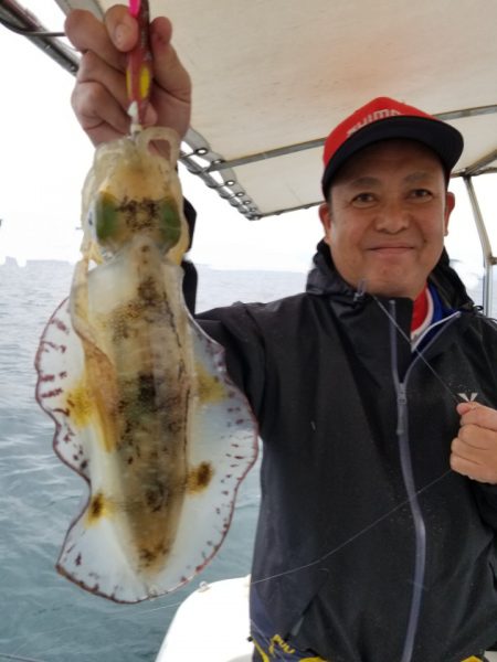 ソルトウォーターガイドフレンズ 釣果