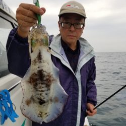 ソルトウォーターガイドフレンズ 釣果