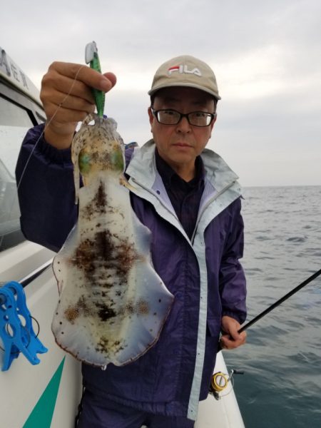 ソルトウォーターガイドフレンズ 釣果