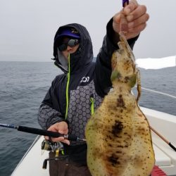 ソルトウォーターガイドフレンズ 釣果